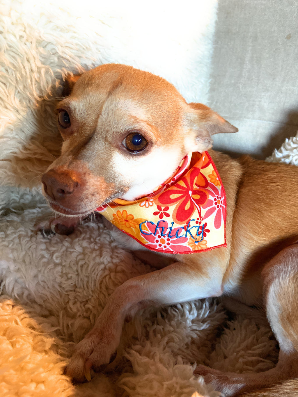 Personalized Embroidered Sunshine Flowers Dog and Cat Bandana