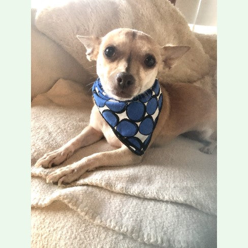Groovy blueberry dog & cat bandana